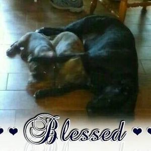 Meet your Posher, Janis